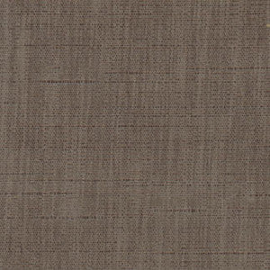 Photo Finish Chestnut by Carole Fabric