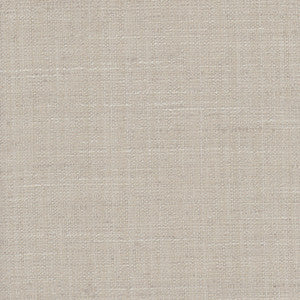 The Reason Is Pewter by Carole Fabric