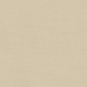 Bassco Clay by Carole Fabric
