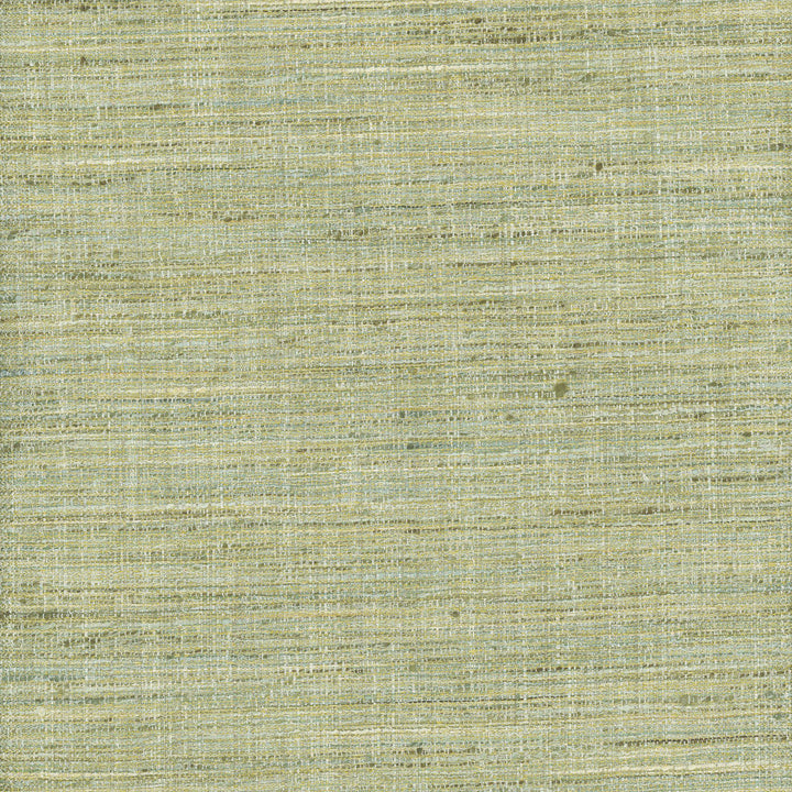 Gear Up Peapod by Carole Designer Fabric Celadon 100% Polyester India Passes 30,000 Double Rubs Wyzenbeek Horizontal: 0 and Vertical: 0 5475 - Swanky Fabrics -
