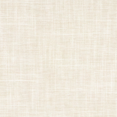 Big Thinker Abalone by Carole Fabric Power Play 100% Polyester N/A None 55" - Fabric Carolina -