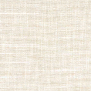 Big Thinker Abalone by Carole Fabric
