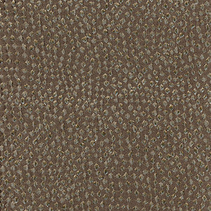 Stars Above Taupe by Carole Fabric
