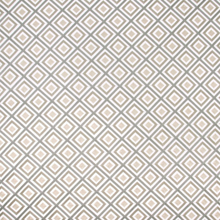 Time Will Tell Metallic by Carole Designer Fabric Silver Fox 52% Cotton, 48% Polyester India Passes 30,000 Double Rubs Wyzenbeek Horizontal: 4625 and Vertical: 4625 51 - Swanky Fabrics -