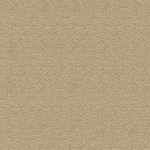 Donnabella Putty by Carole Fabric