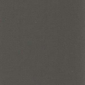 Daydreamer Charcoal by Carole Fabric