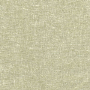 Aspire To Sage by Carole Fabric