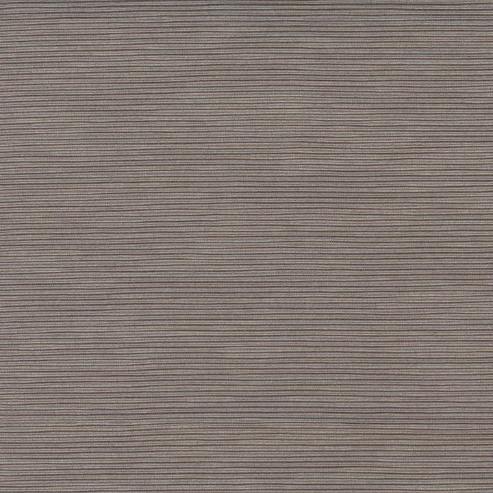 First Novel Cement by Carole Fabric Stationery 72% Rayon, 28% Polyester China Passes 30,000 Double Rubs Wyzenbeek Horizontal: 0 and Vertical: 0 55 - Fabric Carolina -