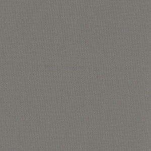 Daydreamer Ash Grey by Carole Fabric