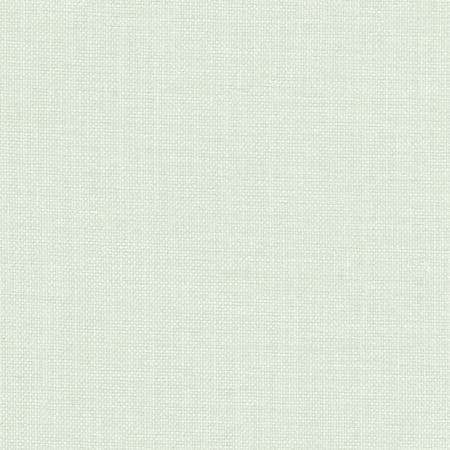 Liberty Mint by Carole Fabric Liberty,Liberty II 100%  Polyester India  None 54"  - Fabric Carolina -