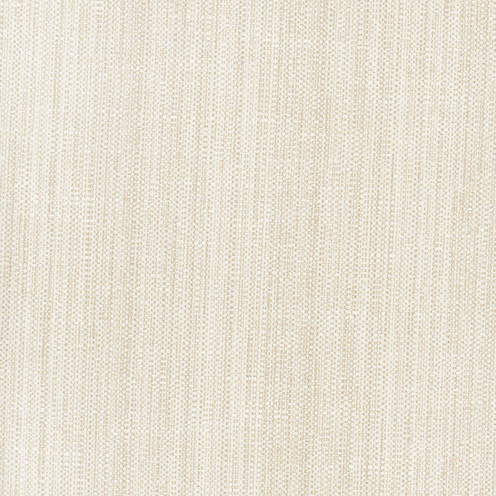 Rock Wall Raffia by Carole Designer Fabric Opal 83% Polyester, 12% Cotton, 5% Rayon India N/A Horizontal: 0 and Vertical: 0 55 - Swanky Fabrics -