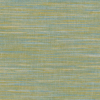 Kami Seagrass by Carole Fabric Sea Glass 66% Poly, 20% Cotton, 7% Viscose, 7% Lin India Passes 50,000 Double Rubs Wyzenbeek </p><p>Repeat: NONE 54" - Fabric Carolina -
