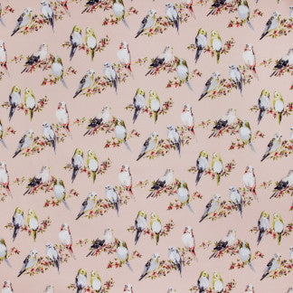 In Unison Blush by Carole Fabric Summer Garden 100% Cotton-SR Pakistan Passes 50,000 Double Rubs Wyzenbeek </p><p>Repeat: 16 3/4" V, 17 3/4" H HD 56" - Fabric Carolina -