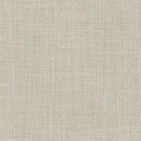 <p>This Very Moment Dove by Carole Designer Fabric</p><p><strong>Required Minimum Quantity Purchase: 2 yards</strong></p><p>Book: Desert Sands</p><p>Content: 69% Polyester, 31% Cotton-Water Repellent</p><p>Origin: </p><p>Performance: 51,000 Wyzenbeek Double Rubs</p><p>Repeat: None</p><p>Width: 54""</p>