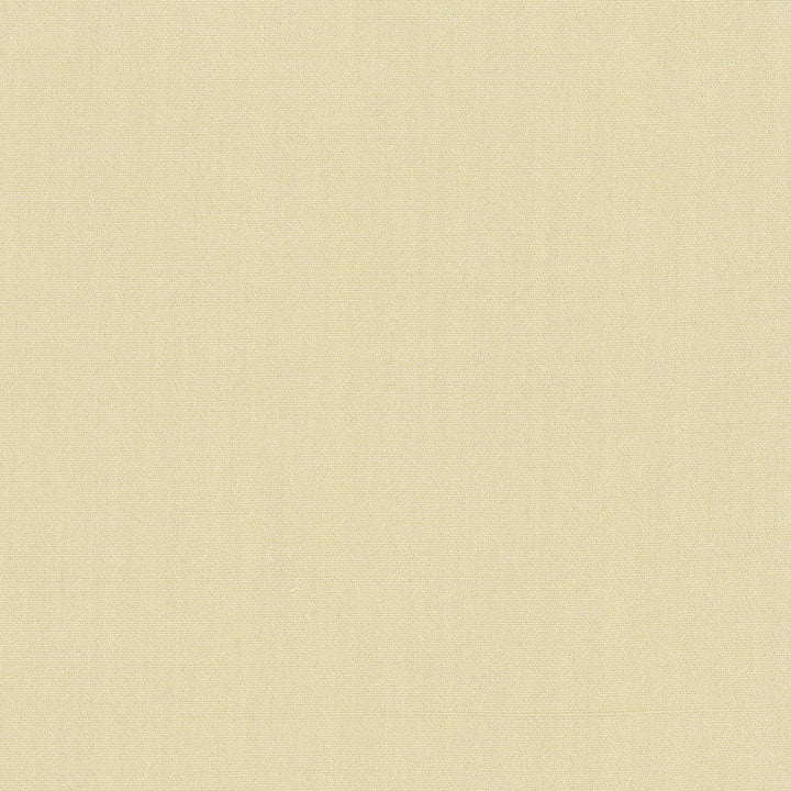 Tempt Champagne by Carole Designer Fabric Royale 100% IFR Polyester India Passes 45,000 Double Rubs Wyzenbeek Horizontal: 0 and Vertical: 0 54 - Swanky Fabrics -