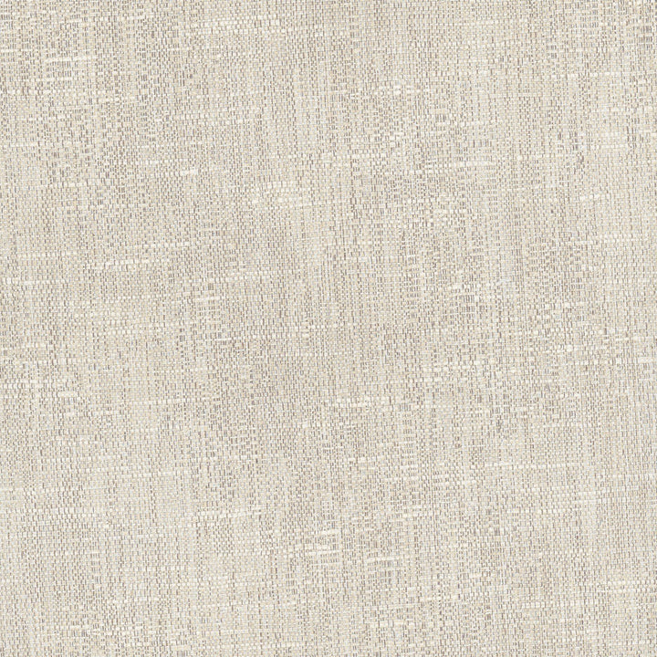 Hard Knocks Linen by Carole Designer Fabric Pewter 69% Polyester, 31% Cotton India Passes 30,000 Double Rubs Wyzenbeek Horizontal: 0 and Vertical: 0 555 - Swanky Fabrics -