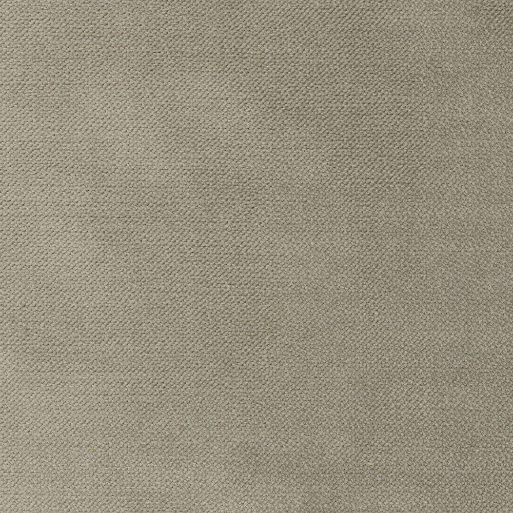 Regal Touch Truffle by Carole Fabric Touch Of Luxury 100% Polyester Turkey 15,000 Wyzenbeek Double Rubs Horizontal: 0 and Vertical: 0 55 - Fabric Carolina -