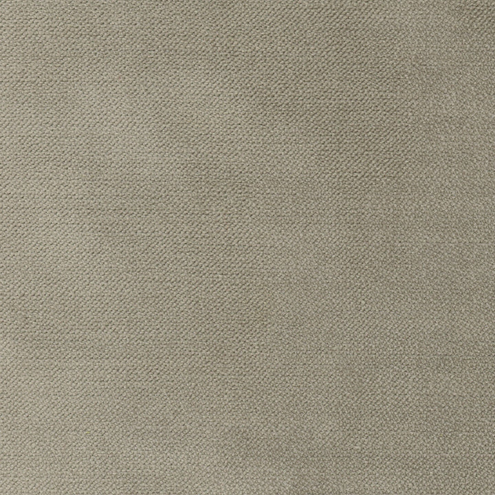Regal Touch Truffle by Carole Fabric Touch Of Luxury 100% Polyester Turkey 15,000 Wyzenbeek Double Rubs Horizontal: 0 and Vertical: 0 55 - Fabric Carolina -