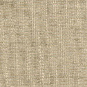 Slow Down Biscotti by Carole Fabric