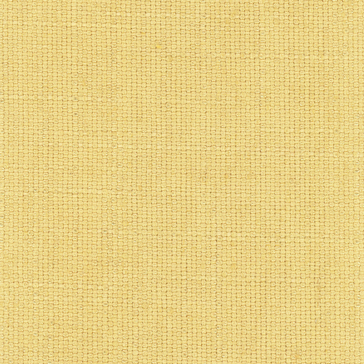 Autumn Breeze Daffodil by Carole Fabric On Point 36% Polyester, 26% Cotton, 22% Viscose, 16% Linen CHINA 30,000 Wyzenbeek Double Rubs Horizontal: 0 and Vertical: 0 56 - Fabric Carolina -