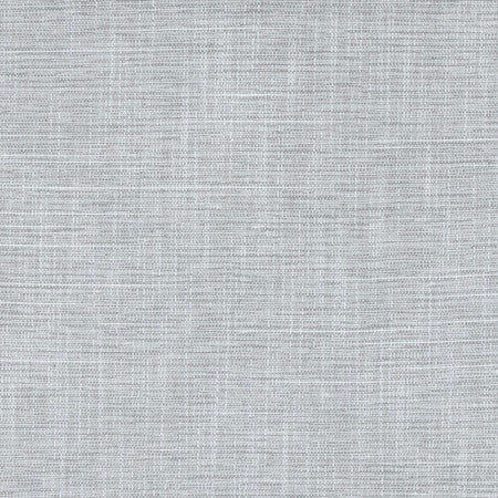 Big Thinker Cloud by Carole Designer Fabric Power Play 100% Polyester N/A None 55" - Swanky Fabrics -