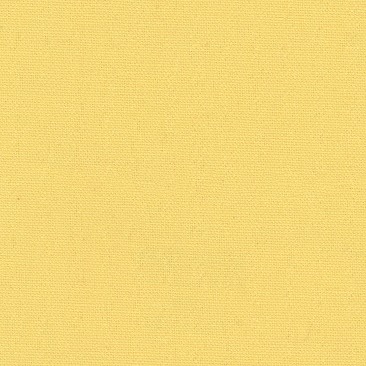 Daydreamer Yellow by Carole Fabric Daydreaming 100% Cotton- Soil Release USA Passes 30,000 Double Rubs Wyzenbeek Horizontal: 0 and Vertical: 0 54 - Fabric Carolina -