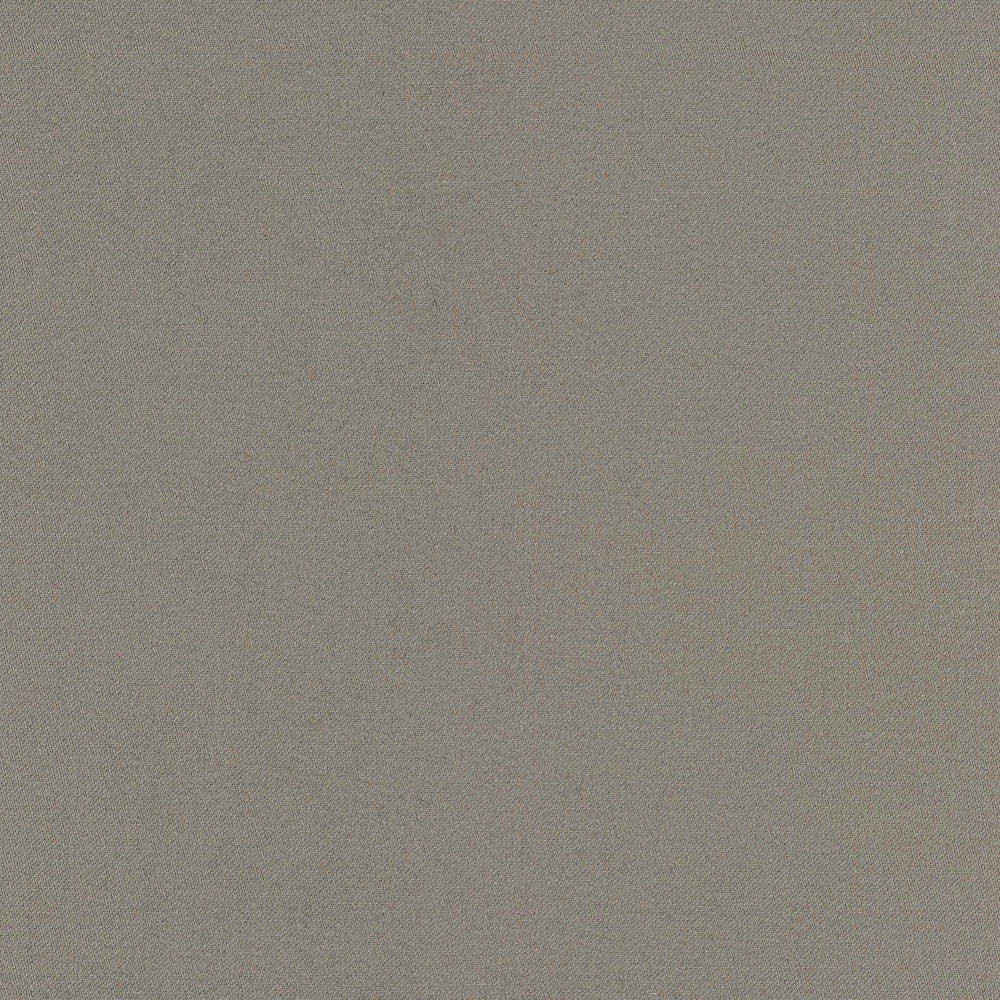 Comfort Shale by Carole Fabric Daydreaming 100% Cotton India Passes 21,000 Double Rubs Wyzenbeek Horizontal: 0 and Vertical: 0 54 - Fabric Carolina -