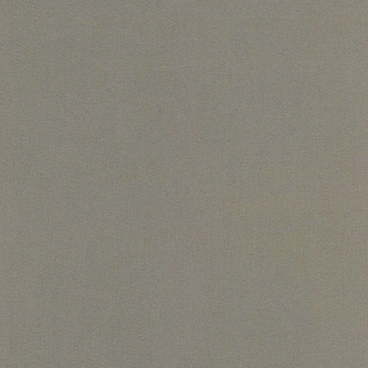 Comfort Shale by Carole Fabric Daydreaming 100% Cotton India Passes 21,000 Double Rubs Wyzenbeek Horizontal: 0 and Vertical: 0 54 - Fabric Carolina -