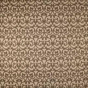 Vatelli Stone by Carole Fabric