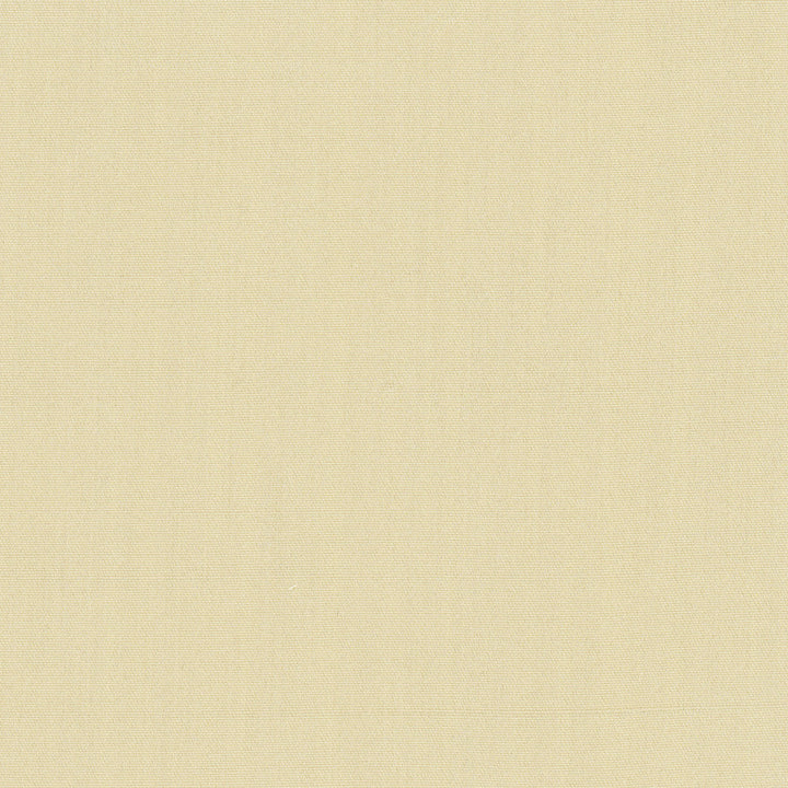 Tempt Champagne by Carole Fabric Royale 100% IFR Polyester India Passes 45,000 Double Rubs Wyzenbeek Horizontal: 0 and Vertical: 0 54 - Fabric Carolina -