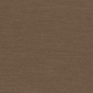 Distinct II Chocolate by Carole Fabric