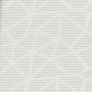 After Dark Mink by Carole Fabric