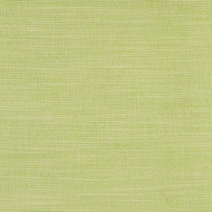 Boardroom Spring by Carole Fabric