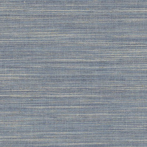 Kami Denim by Carole Fabric