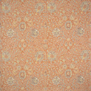 Stuck On You Terracotta by Carole Fabric