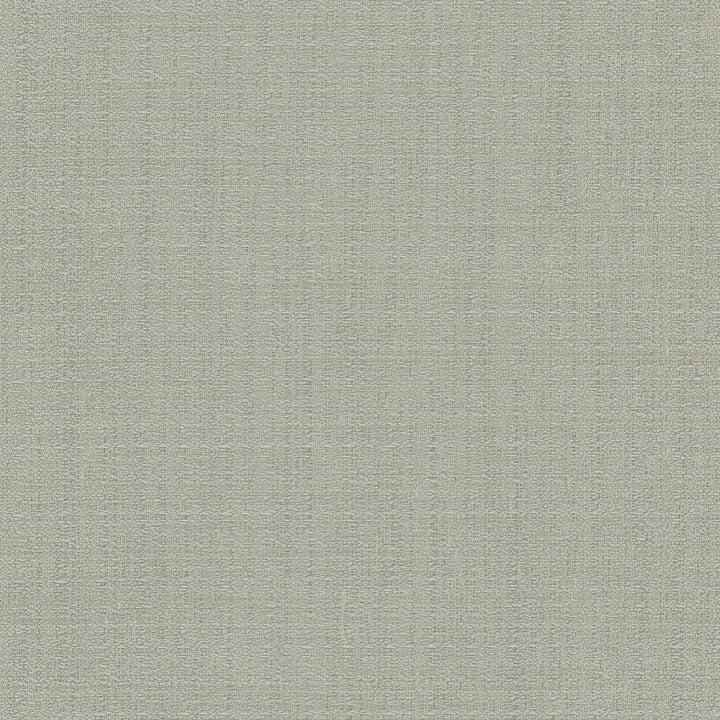 Trampoline Pewter by Carole Fabric For The Window 100% Polyester Turkey N/A Horizontal: 0 and Vertical: 0 60 - Fabric Carolina -