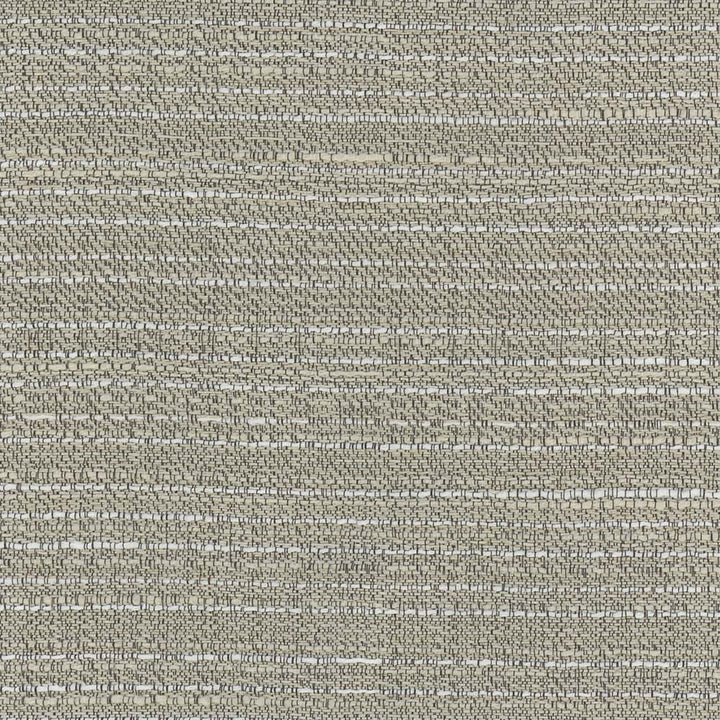 Emmeline Silt by Carole Fabric Lydia Ii 100% Polyester India N/A Horizontal: 0 and Vertical: 0 54 - Fabric Carolina -