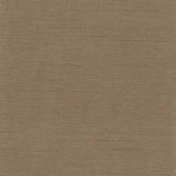 Northwind Mushroom by Carole Fabric New Northwind Iv 100% Polyester India Passes 9,000 Double Rubs Wyzenbeek Horizontal: 0 and Vertical: 0 54 - Fabric Carolina -