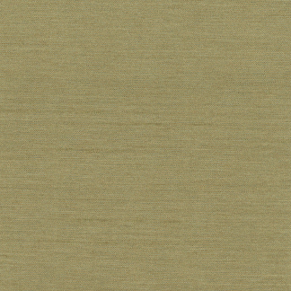 Northwind Sage by Carole Fabric New Northwind Iv 100% Polyester India Passes 9,000 Double Rubs Wyzenbeek Horizontal: 0 and Vertical: 0 54 - Fabric Carolina -