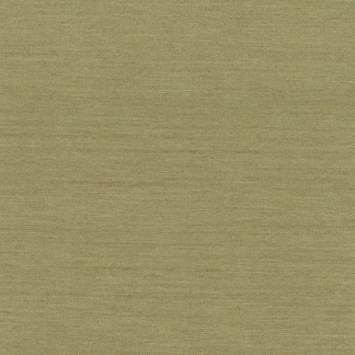 Northwind Sage by Carole Fabric New Northwind Iv 100% Polyester India Passes 9,000 Double Rubs Wyzenbeek Horizontal: 0 and Vertical: 0 54 - Fabric Carolina -