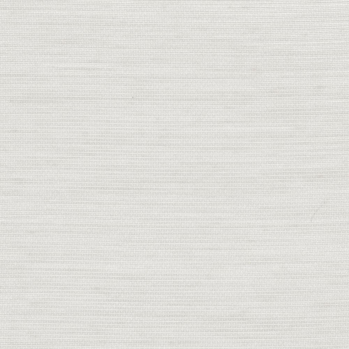 Just So Silver by Carole Designer Fabric Sheer Structure 100% Polyester Turkey N/A Horizontal: 0 and Vertical: 0 118 - Swanky Fabrics -