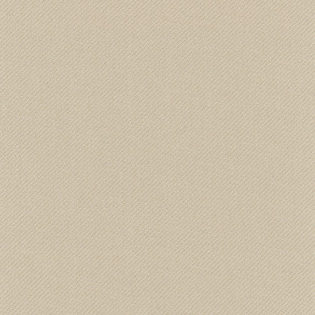 Reaction Putty by Carole Fabric Opal 100% Polyester Turkey N/A None 59"  - Fabric Carolina -