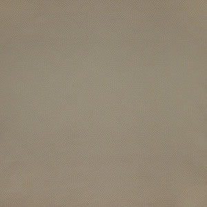 Take Comfort Taupe by Carole Fabric