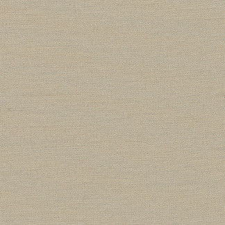 Succulent Birch by Carole Fabric Succulent,Succulent II 100% POLYESTER INDIA N/A Horizontal: 0" and Vertical: 0" 54" - Fabric Carolina -