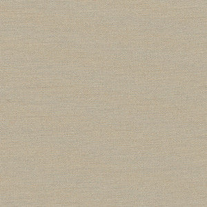 Succulent Birch by Carole Fabric