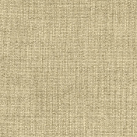 Aerial Khaki by Carole Fabric Laguna 100% Polyester INDIA 50,000 Wyzenbeek Double Rubs None 54"  - Fabric Carolina -