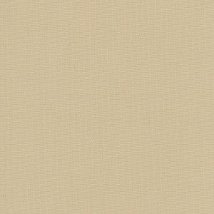 Daydreamer Sandstone by Carole Fabric