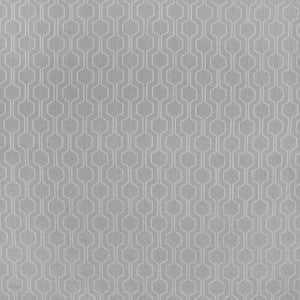 Foretell This Dove by Carole Fabric