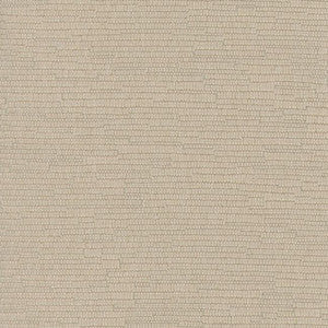 Fitz Taupe by Carole Fabric