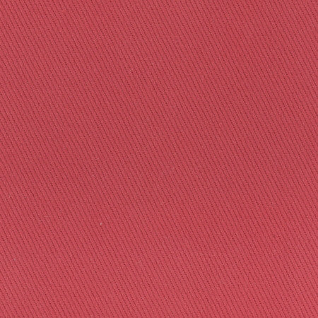 Reminder Tomato by Carole Fabric Scarlet 100% Cotton USA Passes 18,000 Double Rubs Wyzenbeek Horizontal: None and Vertical: None 55" - Fabric Carolina -